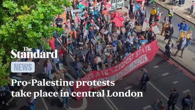 Hundreds of pro-Palestine supporters march urging Labour to act over Gaza as arrest made in clash with police