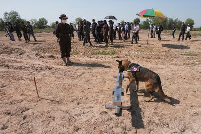 Japan partners with Cambodia to share demining knowledge with Ukraine, other countries