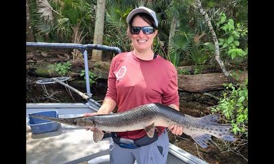 Crooked catch is a ‘shocking’ discovery by biologists in Florida