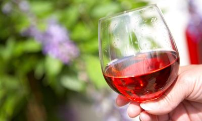 Coming up rosés: properly tasty pink wines to get summer sizzling