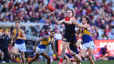 Goodwin buoyed by younger Dees' form in AFL finals race