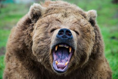 Are the bears right about the outlook for the S&P 500?