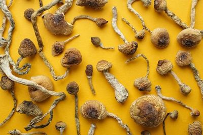 Are The Benefits Of Psychedelics Overblown? Here’s One Compelling Case Against The Hype