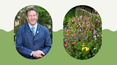 Monty Don reveals the garden job you need to do today to avoid a 'disaster zone overnight'