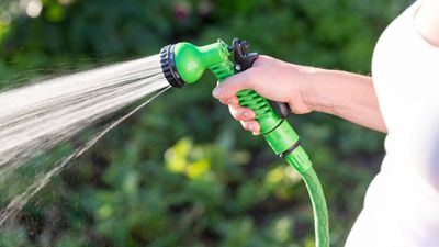 Are expandable garden hoses actually worth it? After years of testing, I would advise against this piece of gardening kit