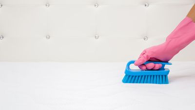 Why are people cleaning their mattresses with shaving foam and is it safe?