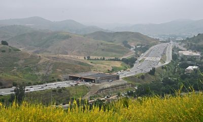 Animal Crossing: Highway Bridge Aims To Save California's Cougars