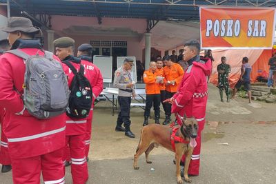 Landslide triggered by torrential rain kills 11 people at illegal gold mine in Indonesia; 19 missing