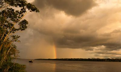 To the end of the Amazon in Brazil: ‘there are forms of life here that I never knew existed’