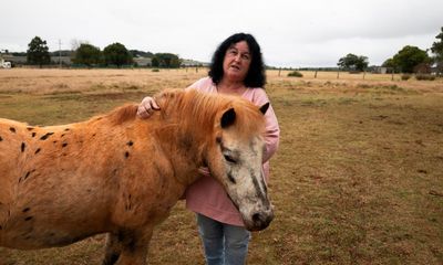 ‘Every step of the way, no one cared’: Queensland pensioner says solar farm next door has left her unable to sell her property