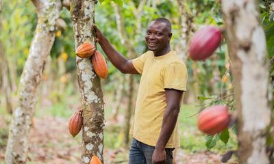 Uncovering cocoa farming’s biggest challenges – and what’s being done to tackle them