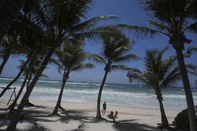 Houston Man Killed By Falling Tree During Hurricane Beryl