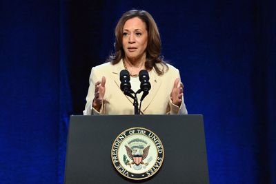 Ex-Trump aide calls Harris a "DEI hire"