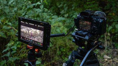 Blackmagic Video Assist 7 12G HDR review: all-round high-end performance