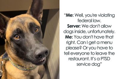 Patron With Service Dog Kicked Out By Restaurant Manager, Sparks Online Debate Over Federal Law