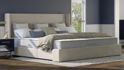 What is the biggest mattress size and where can you buy it online?