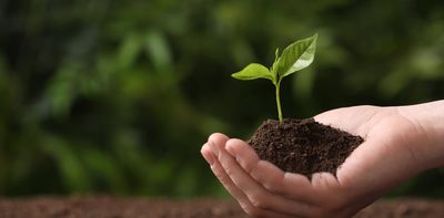 Keen to be sustainable after dying? Earth to earth, cradle to compost