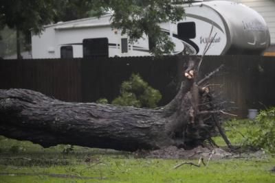 Hundreds Of Egrets Impacted By Hurricane Beryl In Houston