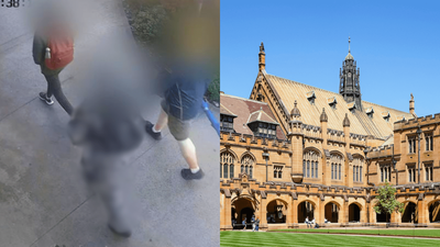 14 Y.O. Allegedly Behind USYD Stabbing ‘Spoke Freely’ About Wanting To Do School Shooting