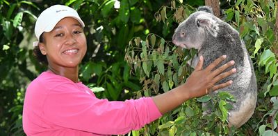 A wildlife park has scrapped koala cuddles. Is it time for a blanket ban?