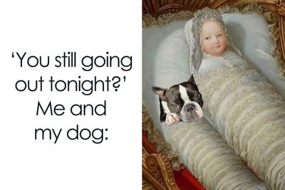 40 Memes About Mostly Everything That You May Find Painfully Relatable