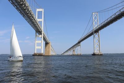 Overall health of Chesapeake Bay gets C-plus grade in annual report by scientists