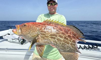 ‘Tax man’ takes cut as rare grouper is caught off Florida