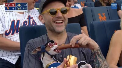 Sunglasses-Wearing Puppy Eating Hot Dog at Mets Game Had MLB Fans Howling