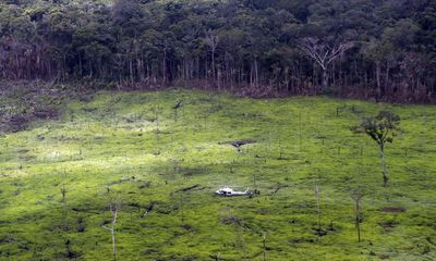 Deforestation in Colombia falls to lowest level in 23 years