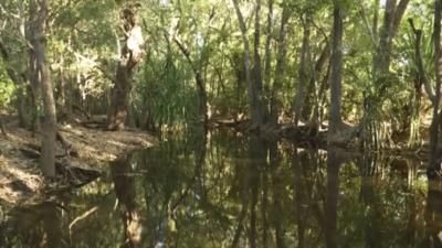 Rangers Shoot Dead Crocodile After Fatal Attack In Australia