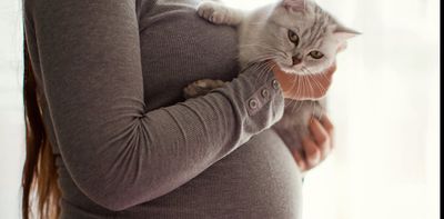 Toxoplasma is a common parasite that causes birth defects – but the US doesn’t screen for it during pregnancy