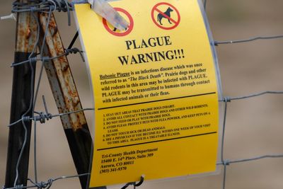 Colorado public health officials confirm new case of human plague