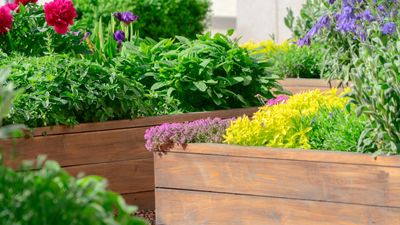 I just found the best raised bed planters – and they're on sale ahead of Amazon Prime Day