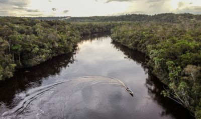 Amazon Tribes Win Lawsuit Over Carbon Credits In Colombia