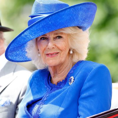 Queen Camilla’s Dresser Initially “Ruffled a Few Feathers” Over Denying Other Female Royals the Chance to Wear the Color Blue, Camilla’s Favorite Hue