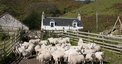 Almost one quarter of Scottish crofts now under community control