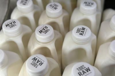 California Raw Milk Salmonella Outbreak: Largest In A Decade
