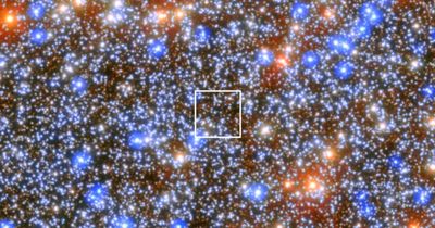 Astronomers find Earth's nearest black hole in star cluster visible to the eye