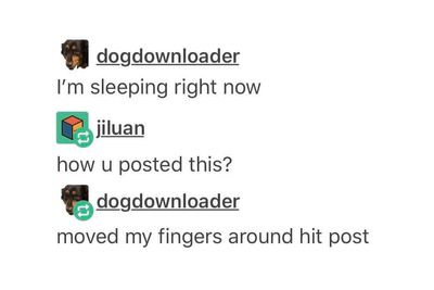 50 Hilariously Witty Tumblr Posts That Show What The Internet Is All About