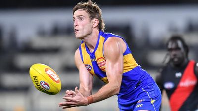 Ex-Eagles defender sues West Coast, AFL over concussion