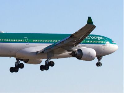 Aer Lingus pilots striking in bid for 24% pay increase urged by union to end industrial action and accept deal
