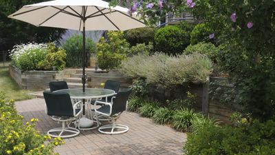 Best plants for a shady patio – 5 dazzling plants to brighten up your outdoor living area