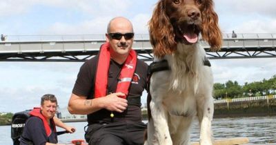 Hero search and rescue dog awarded 'animal OBE' after 11 years of service