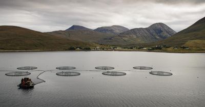 Recovery operation underway as boat sinks and spills fuel at Scottish fish farm