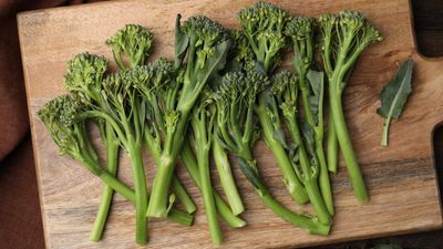 How to grow broccolini at home – for substantial harvests of gourmet vegetables