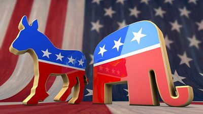 Congress Members Of Both Parties Make A Fortune Trading One Stock