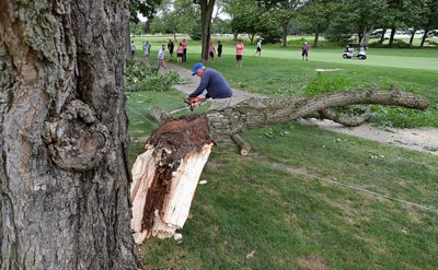 Large tree limb falls, strikes spectator at Firestone Country Club before Kaulig Companies Championship