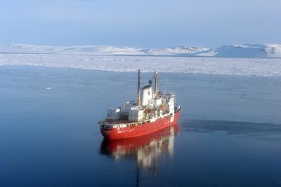 Melting Ice No Guarantee Of Smooth Sailing In Fabled Arctic Crossing: Study