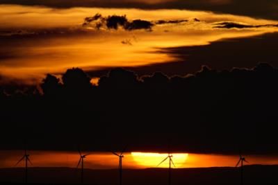 Wind Energy Development In Brazil: Community Impacts And Resistance