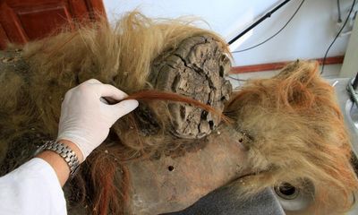 Mulleted mammoth called Chris Waddle helps scientists crack creatures’ genetic code